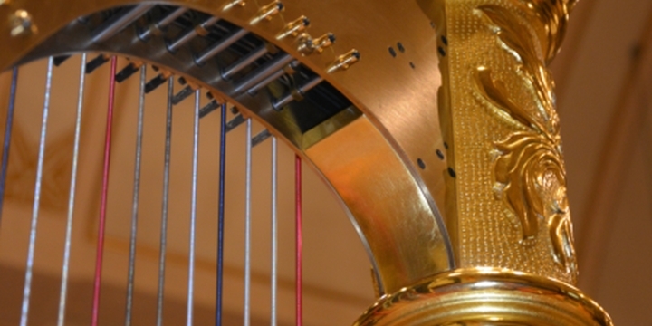 Die Harfe  ©Jenaer Philharmonie