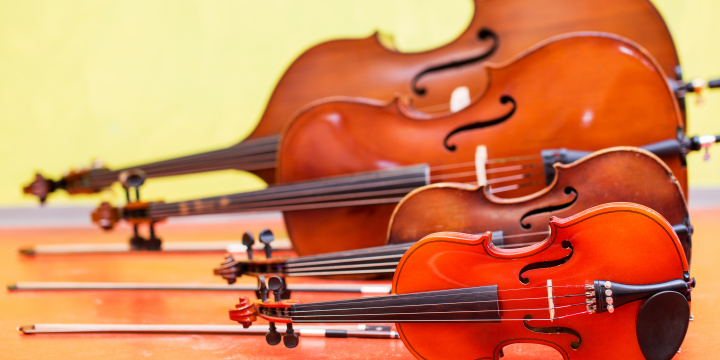 Streichinstrumentenfamilie hintereinander aufgereiht